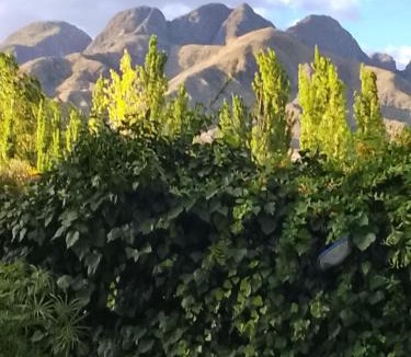 Las Compuertas House | Aires de montaña