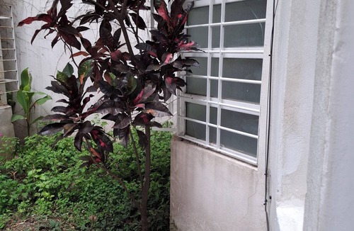 Centro Apartment | AKAI Minimalist and quiet in Ground Floor near Medicine Barrio Pichincha,