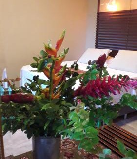 Caixa-Pregos Hotel | Alfa Beach