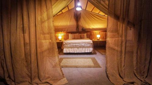 Atins Other | Aloha Glamping