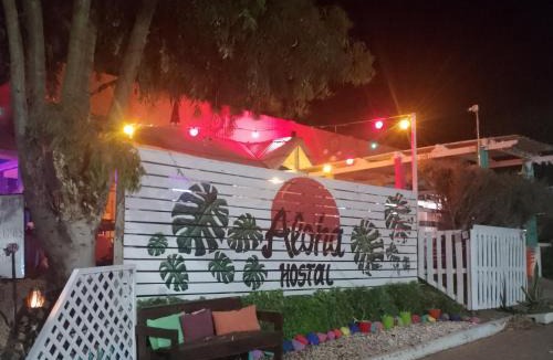 Puerto Piramides Hotel | ALOHA HOSTEL by BUDA BEACH