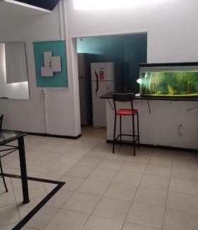 San Martin Apartment | Alojamiento El Centenario