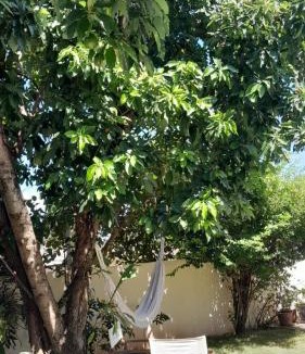 Encarnacion House | Alojamiento LA PERSEA