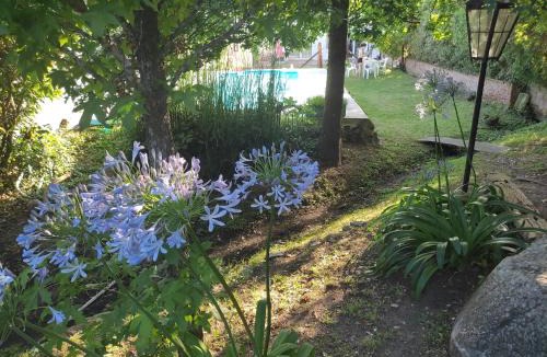 Tandil House | Amaryllis