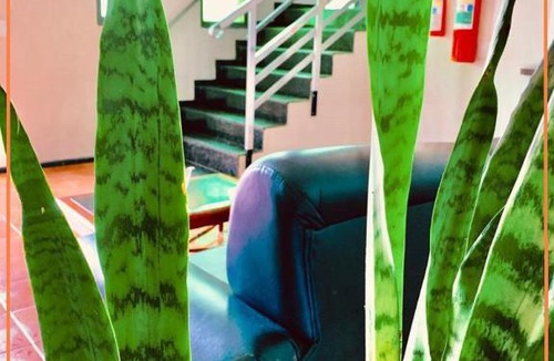 Sao Pedro Hotel | Anexo - Hospedagens Imigrantes