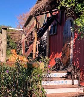 Punta del Diablo House | Angelo