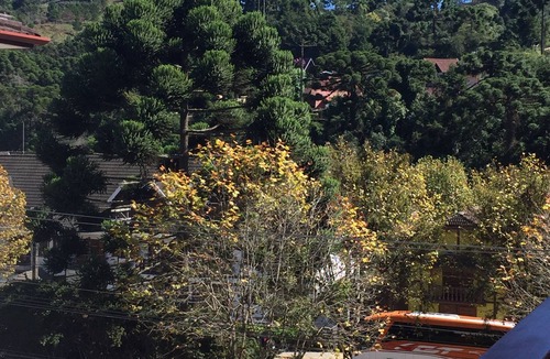 Vila Iara Apartment | Apartamento Aconchegante e Tranquilo na Montanha