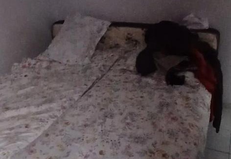 Bacabal Apartment | Apartamento econômico