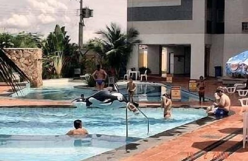 Prive das Caldas Apartment | Apt Caldas Solar/Thermal Waters - 1 suite