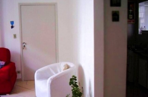Pitangueiras Apartment | Apt R.México 2 bedrooms 50mt from Pitangueiras beach