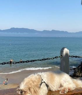 Prainha Apartment | Apto Areia azul-PÉ NA AREIA- PETFRIENDLY PREMIUM na prainha