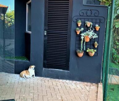 Maringa Apartment | Apto Roma na Vila Paraíso: um cantinho feliz