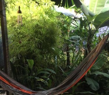 Sao Joao do Rio Vermelho House | arte natureza