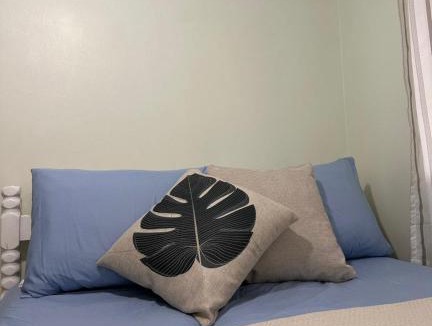 Balneario Barra do Sul House | Banana Beach House