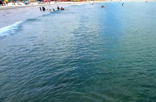 Barra da Lagoa Apartment | Barra da Lagoa - Recanto do Sílvio
