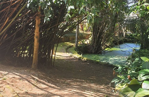 Morro do Algodao House | Beautiful Farm on the North Coast w/Pool
