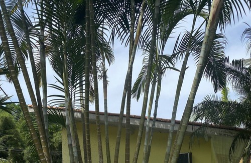 Barra do Sahy House | Beautiful House in Barra do Sahy 2 (North Coast SP)