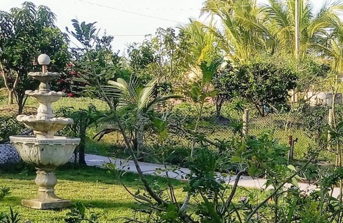 Mucuri House | Beautiful house on a deserted beach.