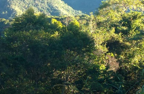 Iporanga House | Bella Serra