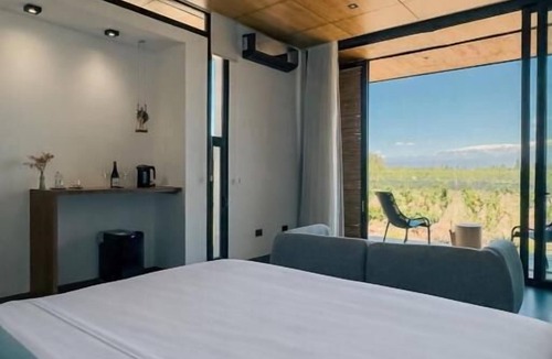 Lujan de Cuyo Hotel | Boutique Hotel Bodega CICLO ANDINO
