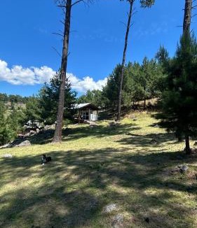 Villa Yacanto Ski Chalet | Cabaña de montaña con pileta en hermoso predio