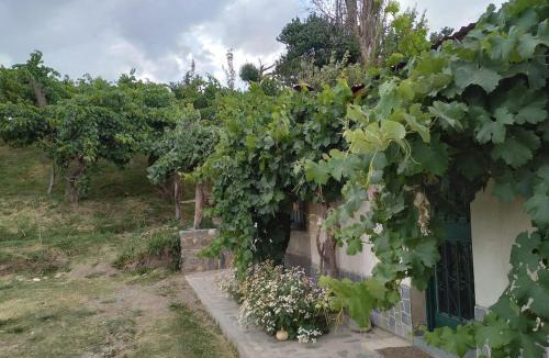 Cachi Apartment | Cabaña El Secadero Mi Campito Cachi Salta
