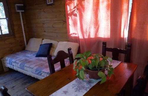 Partido de Tigre Hostel | Cabaña mandala