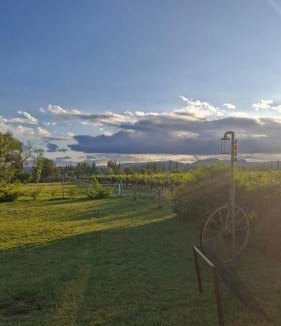 Rama Caida Apartment | Cabaña Oliva - Privacidad frente a los viñedos