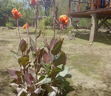 Partido de Tigre House | Cabañas del Pantano