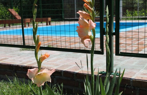 Nono Cabin | Cabañas El Algodonal