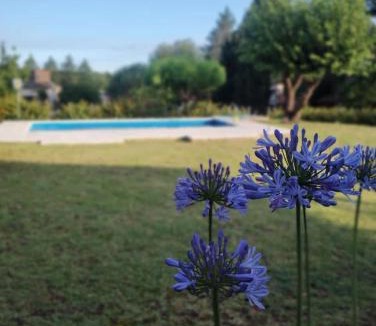 Villa Del Dique Ski Chalet | Cabañas La Casita de Fran