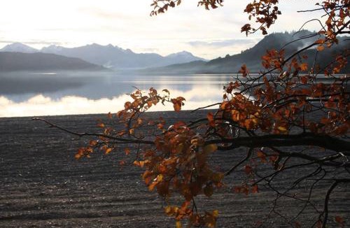 San Carlos de Bariloche Cabin | Cabañas Lemu Hue