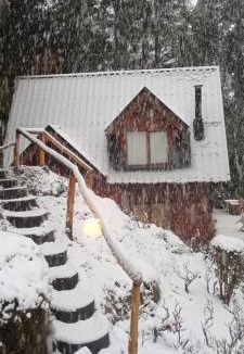 Correntoso Cabin | Cabañas Lihuen