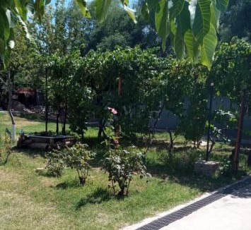 Las Compuertas Ski Chalet | Cabañas los Ceibos