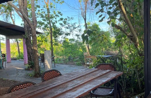 Cornelio Procopio House | Cabana da mata