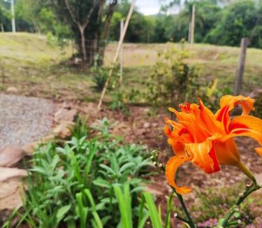 Doutor Ricardo House | Cabana, lagoas e natureza!