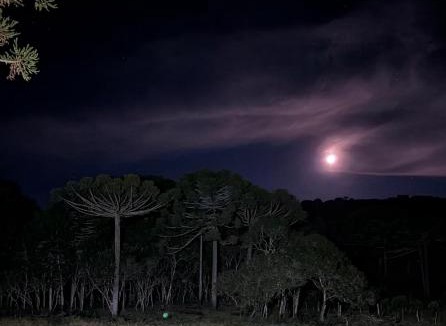 Sao Joaquim House | Cabana Raízes da Mata - Hidro e Natureza