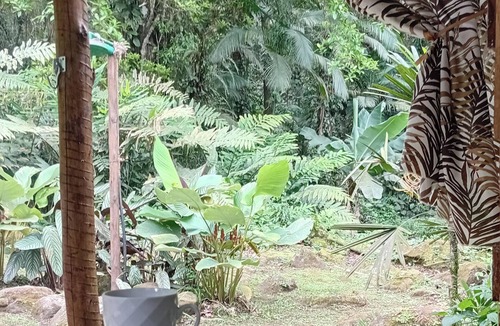Paraty Cabin | Cabin 20km from Paraty with garden and waterfall in the backyard surrounded by nature.