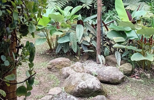 Paraty Cabin | Cabin 20km from Paraty with garden and waterfall in the backyard surrounded by nature.