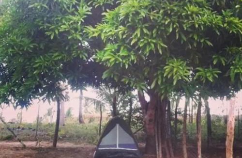 Itacimirim Other | Camp do Riso