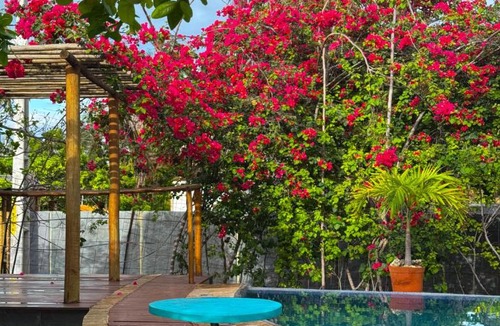 Moitas House | Canoé Brasil