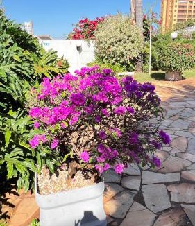 Rio Verde Hotel | Cardoso Palace Hotel Rio Verde