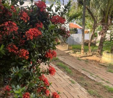 Palmas House | Casa aconchegante e espaçosa