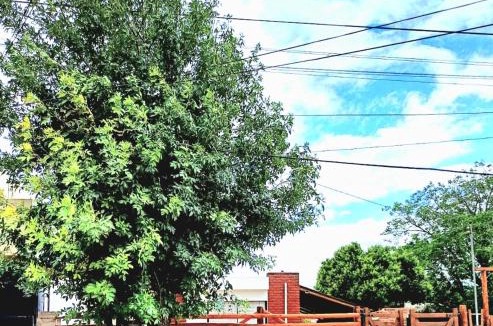 Alto Mieres House | Casa Chalet 6 personas