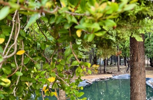 Los Alerces National Park House | Casa de Campo con tina de agua caliente