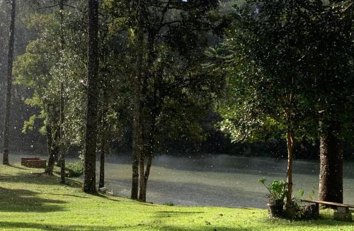Rio Negro House | Casa de Campo #Rancho pela saco