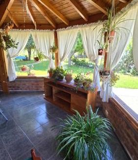 El Hoyo Apartment | Casa Grande Trayken