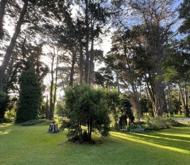 Bosque Peralta Ramos House | Casa Las Margaritas