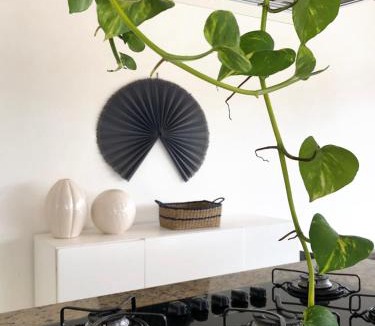 Barra Velha House | CASA PIÚVA