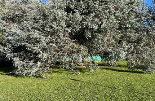 Capilla del Senor House | Casa quinta con enorme parque, parrilla, hogar, piscina a 1 hora de CABA